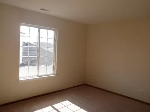 729 Brita Trl, Minooka, IL 60447 photo 8