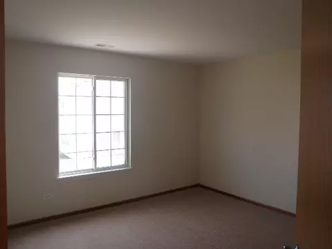 729 Brita Trl, Minooka, IL 60447 photo 10