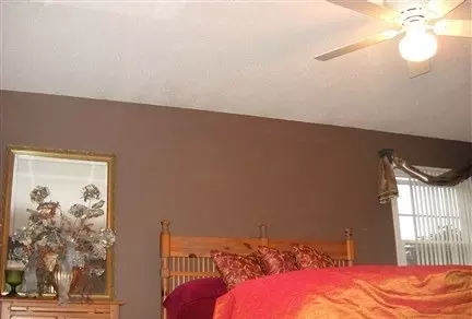 9 Willow Ct, Spring Valley, IL 61362 photo 10