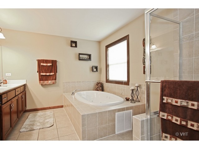 12202 Red Clover Ln, Plainfield, IL 60585 photo 19