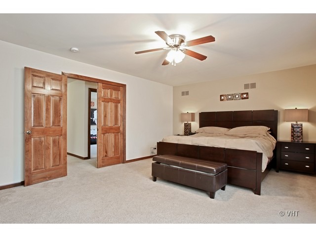 12202 Red Clover Ln, Plainfield, IL 60585 photo 13
