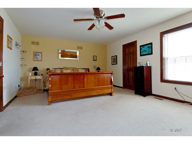 12202 Red Clover Ln, Plainfield, IL 60585 photo 12