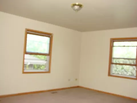 2615 Frank Turk Dr, Plainfield, IL 60586 photo 19