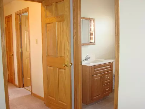 2615 Frank Turk Dr, Plainfield, IL 60586 photo 21