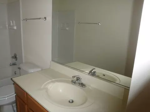 1457 Blue Stem Ln, Minooka, IL 60447 photo 7