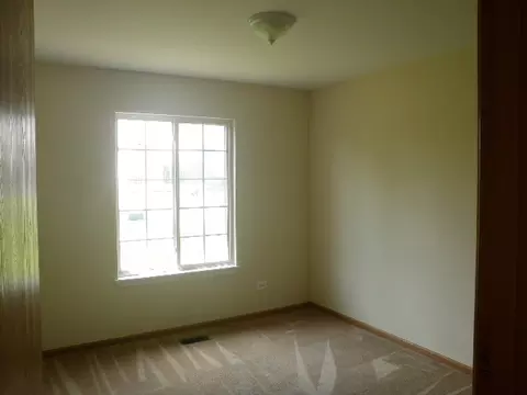 1457 Blue Stem Ln, Minooka, IL 60447 photo 6