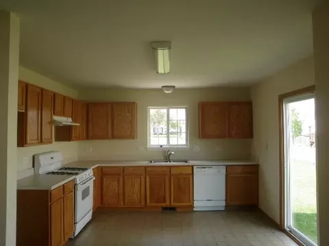 1457 Blue Stem Ln, Minooka, IL 60447 photo 2