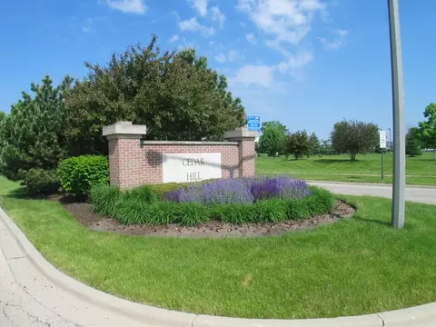 7703 Oleander Dr, Plainfield, IL 60586 photo 23