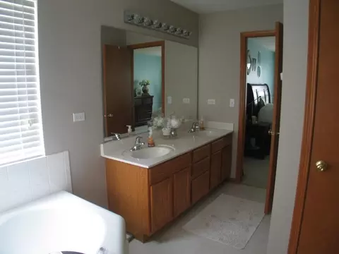 7703 Oleander Dr, Plainfield, IL 60586 photo 20