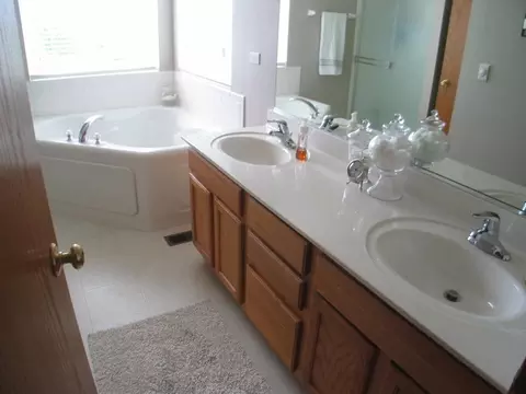 7703 Oleander Dr, Plainfield, IL 60586 photo 19