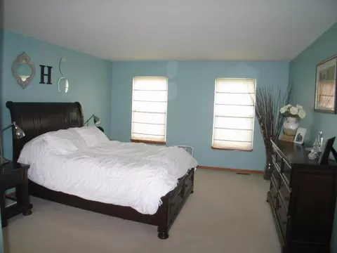 7703 Oleander Dr, Plainfield, IL 60586 photo 22
