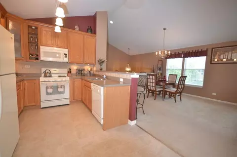 448 Conservatory Ln, Aurora, IL 60502 photo 10