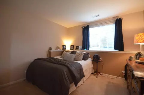 448 Conservatory Ln, Aurora, IL 60502 photo 19