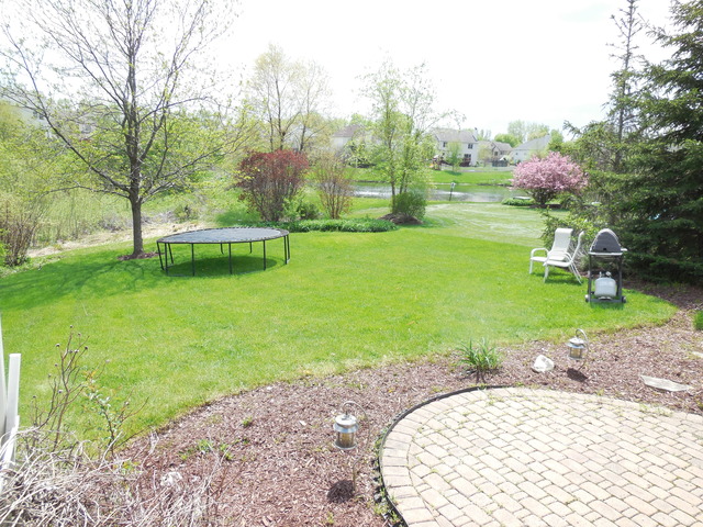 1461 Boulder Bluff Ln, Algonquin, IL 60102 photo 24