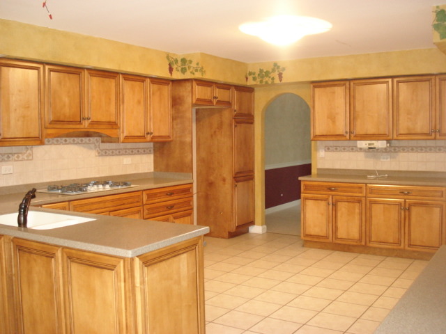 979 Baytree Dr, Bartlett, IL 60103 photo 4
