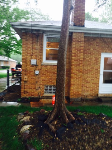 9133 Bartlett Ave, Brookfield, IL 60513 photo 9