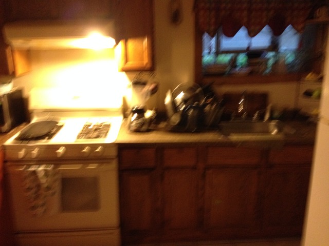 4937 W Parker Ave, Chicago, IL 60639 photo 19