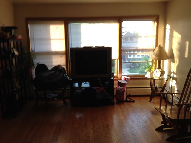 4937 W Parker Ave, Chicago, IL 60639 photo 16