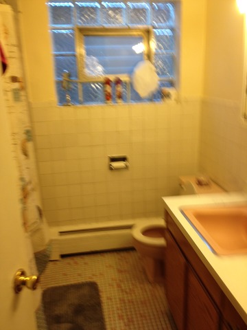 4937 W Parker Ave, Chicago, IL 60639 photo 9