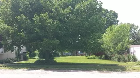 315 N Cedar St, Cedar Point, IL 61316 photo 9