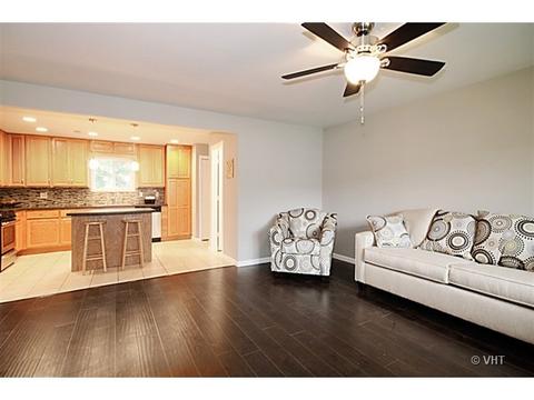 2425 S Perona Ln, Diamond, IL 60416 photo 5