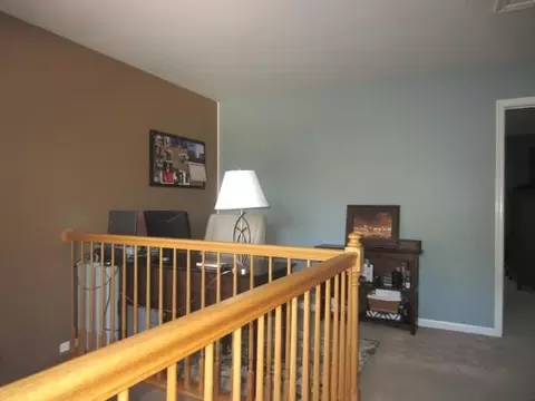 21217 Duncan Ct, Plainfield, IL 60544 photo 13
