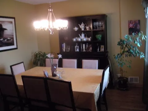 821 Daniel Dr, Minooka, IL 60447 photo 11