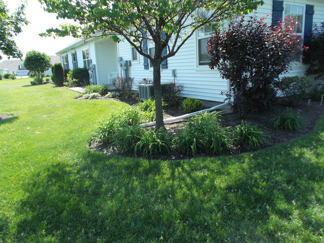 3921 Traditions Dr, Olympia Fields, IL 60461 photo 10