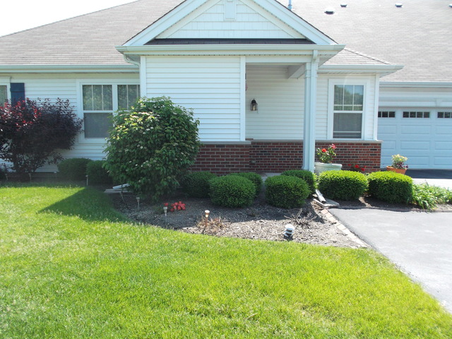 3921 Traditions Dr, Olympia Fields, IL 60461 photo 5