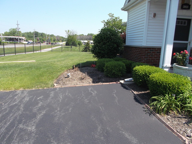 3921 Traditions Dr, Olympia Fields, IL 60461 photo 3
