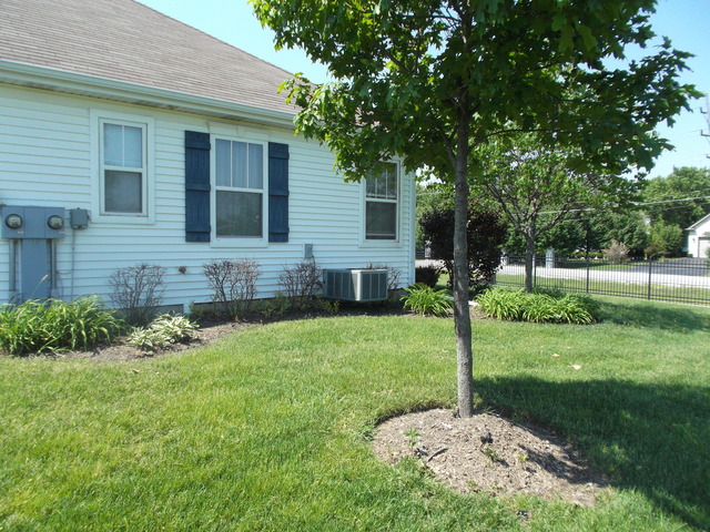 3921 Traditions Dr, Olympia Fields, IL 60461 photo 6