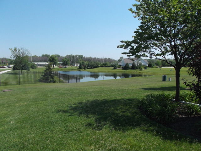 3921 Traditions Dr, Olympia Fields, IL 60461 photo 11