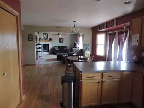 7 Emily Dr, Spring Valley, IL 61362 photo 4