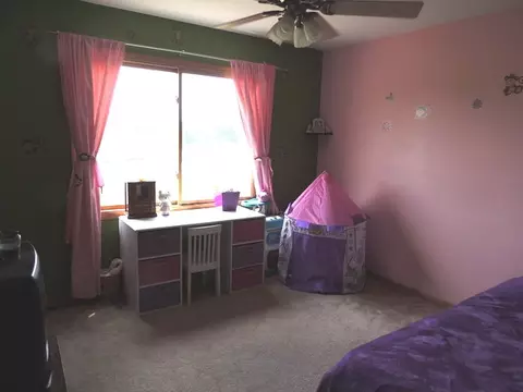 7 Emily Dr, Spring Valley, IL 61362 photo 13
