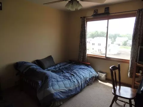 7 Emily Dr, Spring Valley, IL 61362 photo 14