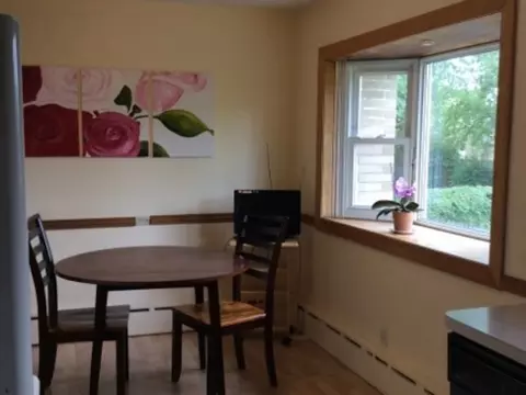 8645 W Normal Ave, Niles, IL 60714 photo 6
