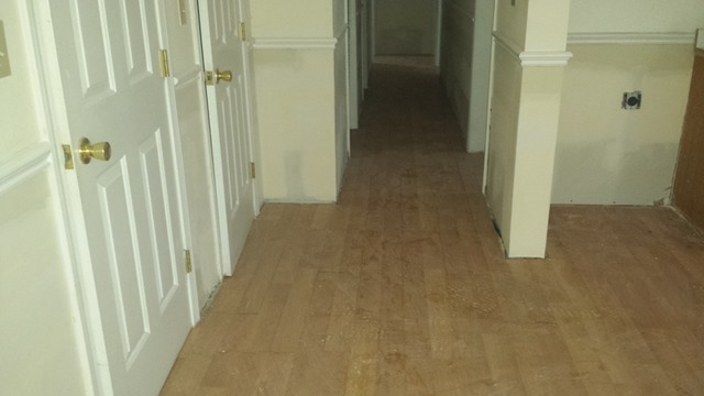 1913 Wesley Ave, Evanston, IL 60201 photo 23