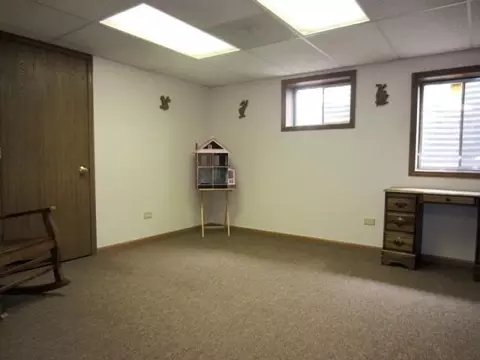 4223 Glenlo Dr, Plainfield, IL 60586 photo 20