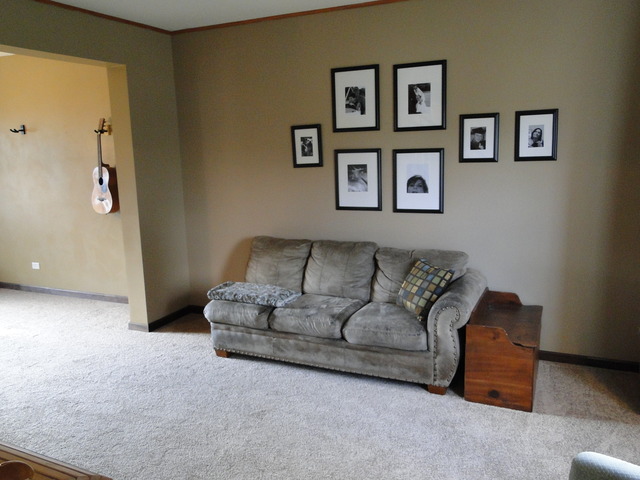 2011 Stafford St, Plainfield, IL 60586 photo 8