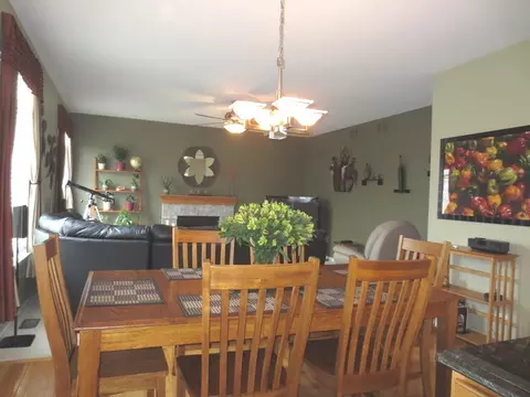 6911 Twin Falls Dr, Plainfield, IL 60586 photo 8