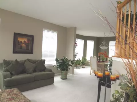 6911 Twin Falls Dr, Plainfield, IL 60586 photo 5