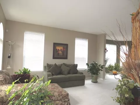 6911 Twin Falls Dr, Plainfield, IL 60586 photo 4