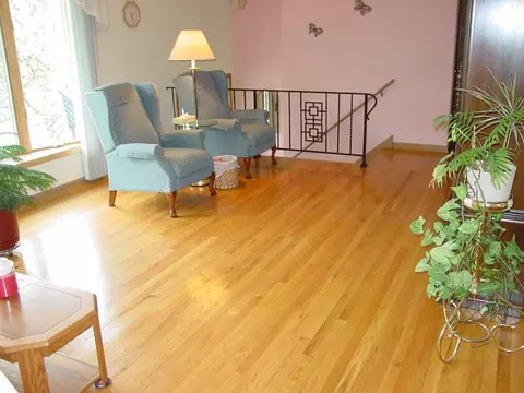 15428 Walnut Rd, Oak Forest, IL 60452 photo 4