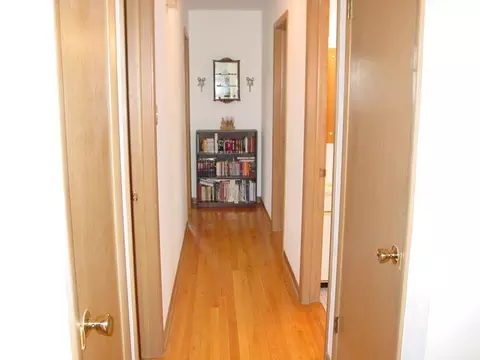 15428 Walnut Rd, Oak Forest, IL 60452 photo 15