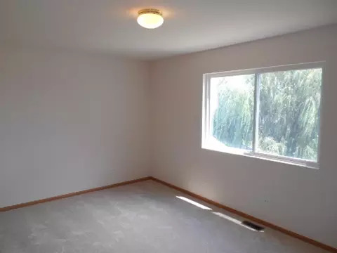 1702 Caton Ridge Dr, Plainfield, IL 60586 photo 7