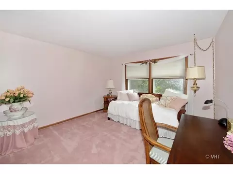 367 Birch Ct, Roselle, IL 60172 photo 13