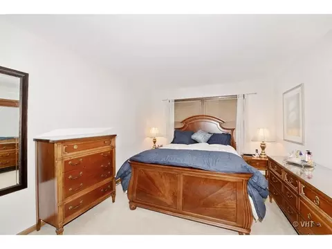 367 Birch Ct, Roselle, IL 60172 photo 9
