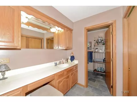 367 Birch Ct, Roselle, IL 60172 photo 10