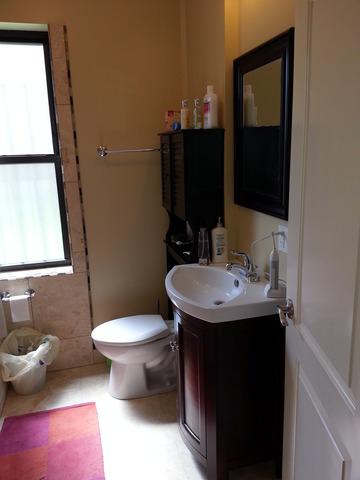 1511 E 66th Pl, Chicago, IL 60637 photo 9