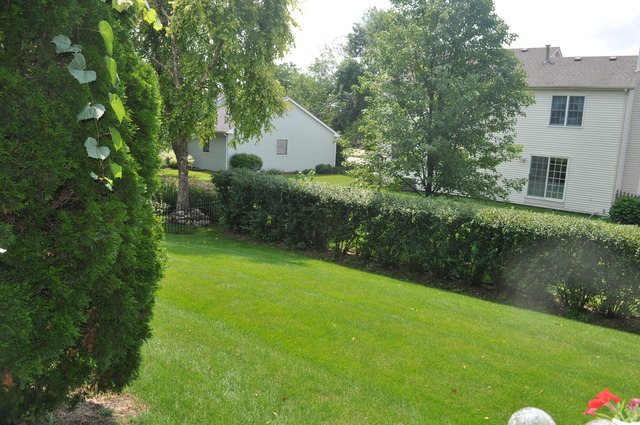 2035 Royal Blvd, Elgin, IL 60123 photo 15